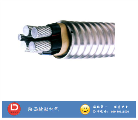 YJLHVS2(ACWU90) 護套鋁合金電力電纜|陜西電線電纜廠|西安電線電纜廠